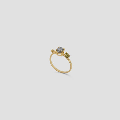 sasha golden ring